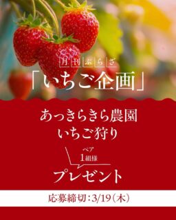 ▸他の投稿はここから.。○
月刊ぷらざ✖️ぷらざスイーツ部 連動
読者プレゼント企画第6弾🎁✨
\ 🍓いちご企画🍓 /
あっきらきら農園さんの
いちご狩りをペア1組様にプレゼント❣️
⚠️応募締切:3月19日(木)まで⚠️
応募方法はとっても簡単👀✨
①月刊ぷらざスイーツ部をフォロー
②この投稿にあいことば「いちご」とコメント🍓
当選者には後日DMにてご連絡いたします🫶
春のおでかけにぴったりないちご狩り🍓💕
ぜひご応募ください✨
これからもスイーツ情報や
ワクワクする企画をお届けしていきますので
フォローもよろしくお願いします❣️
#いちご狩り
#ブレゼント
#スイーツ
#大分
#懸賞
