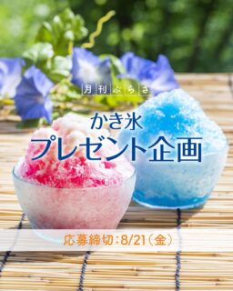 ▸他の投稿はここから.｡○

月刊ぷらざ✖️ぷらざスイーツ部　連動企画🍰
夏スイーツ🍨
プレゼント企画🎁
「かき氷🍧」

⚠️応募期間：8月21日（金）まで⚠️

応募方法はとっても簡単👀✨
①スイーツ部のアカウントをフォロー！
②食べたい商品の番号（左上）をコメントに入力！
※DMでの応募は無効となりますのでご注意ください🙇‍♀️

当選者には後日こちらからDMをお送りします🫶

これからも“おいしい”をお届けできるよう、
スイーツ紹介や楽しい企画をたくさん発信していきますので
ぜひフォローしてチェックしてくださいね❣️

#スイーツ #スイーツ好きの人と繋がりたい #大分 #懸賞