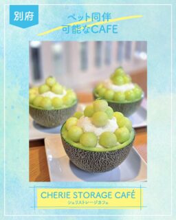 ◀◁他の投稿はこちらから

倉庫をカフェにリノベーション
ペット同伴可能なCAFE☕ ∘°🐶で
とても暑い日に かき氷を食べてきました！

伺った時はメロンのかき氷😊
メロンの果肉たっぷりにミルク氷がとても美味しかったです🤤🍈✨
（現在販売終了）フルーツ変更されています
季節のフルーツを使用した可愛いスイーツやランチが食べれるカフェなので見逃せないです🥰

『シェリストレージカフェ』
@Cherie_Storage_cafe
📍別府市石垣東2丁目2-13
☎️0977-76-5555
🕕10:00～18:00（L.O17:30）定休日 月曜日他
🅿️あり
【商品名】メロンミルクかき氷
⚠掲載内容は来店当時の情報です

.｡ꕤ 今回の #スイーツ部特派員 ꕤ.｡
▸︎▹︎▸︎▹︎ @oita_hiromi10_88 さん
┈┈┈┈┈┈┈ ❁ ❁ ❁ ┈┈┈┈┈┈┈┈
oita_ひろみです·͜· ♡ 
スイーツ部特派員として大分県内の美味しい • 可愛いスイーツを紹介していきます🍰🍩🧁
┈┈┈┈┈┈┈ ❁ ❁ ❁ ┈┈┈┈┈┈┈┈

#スイーツ #ケーキ #sweets #スイーツ部 かき氷 メロンスイーツ